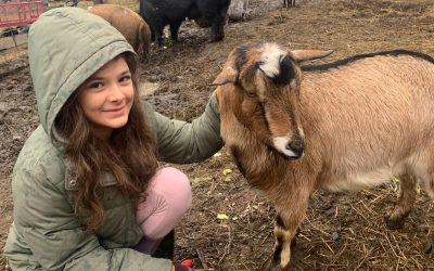 Plant-Based Tips for Every Step of the Veg Journey: Highlights From Our Veg Pledge Series